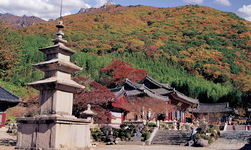이미지명